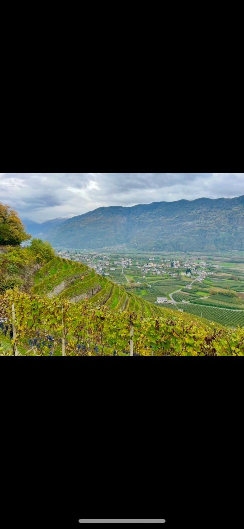 فندق Ca Marasciol A 5 Minuti Dal Trenino Rosso Del Bernina Express Villa di Tirano المظهر الخارجي الصورة